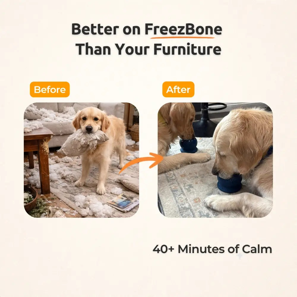 Freezball - Sturdy Fillable Chew Bone for Dogs
