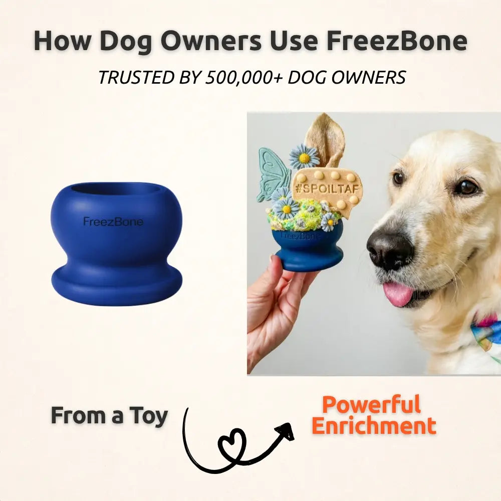Freezball - Sturdy Fillable Chew Bone for Dogs