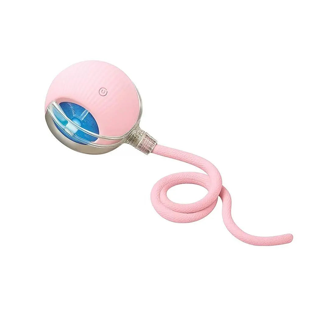 Mizusu Interactive Teaser Toy for Cats and Dogs with Two Extra Tails - Rolling Ball Pet Toy and Accessories