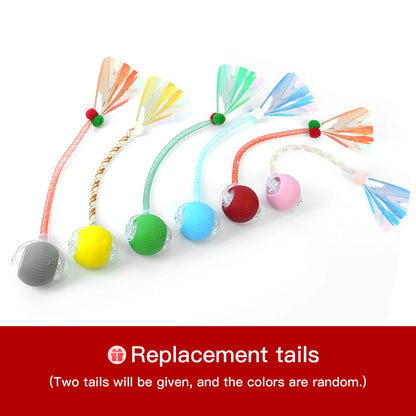 Mizusu Interactive Teaser Toy for Cats and Dogs with Two Extra Tails - Rolling Ball Pet Toy and Accessories