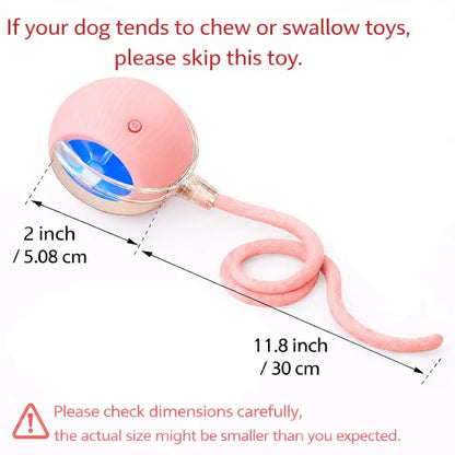 Mizusu Interactive Teaser Toy for Cats and Dogs with Two Extra Tails - Rolling Ball Pet Toy and Accessories