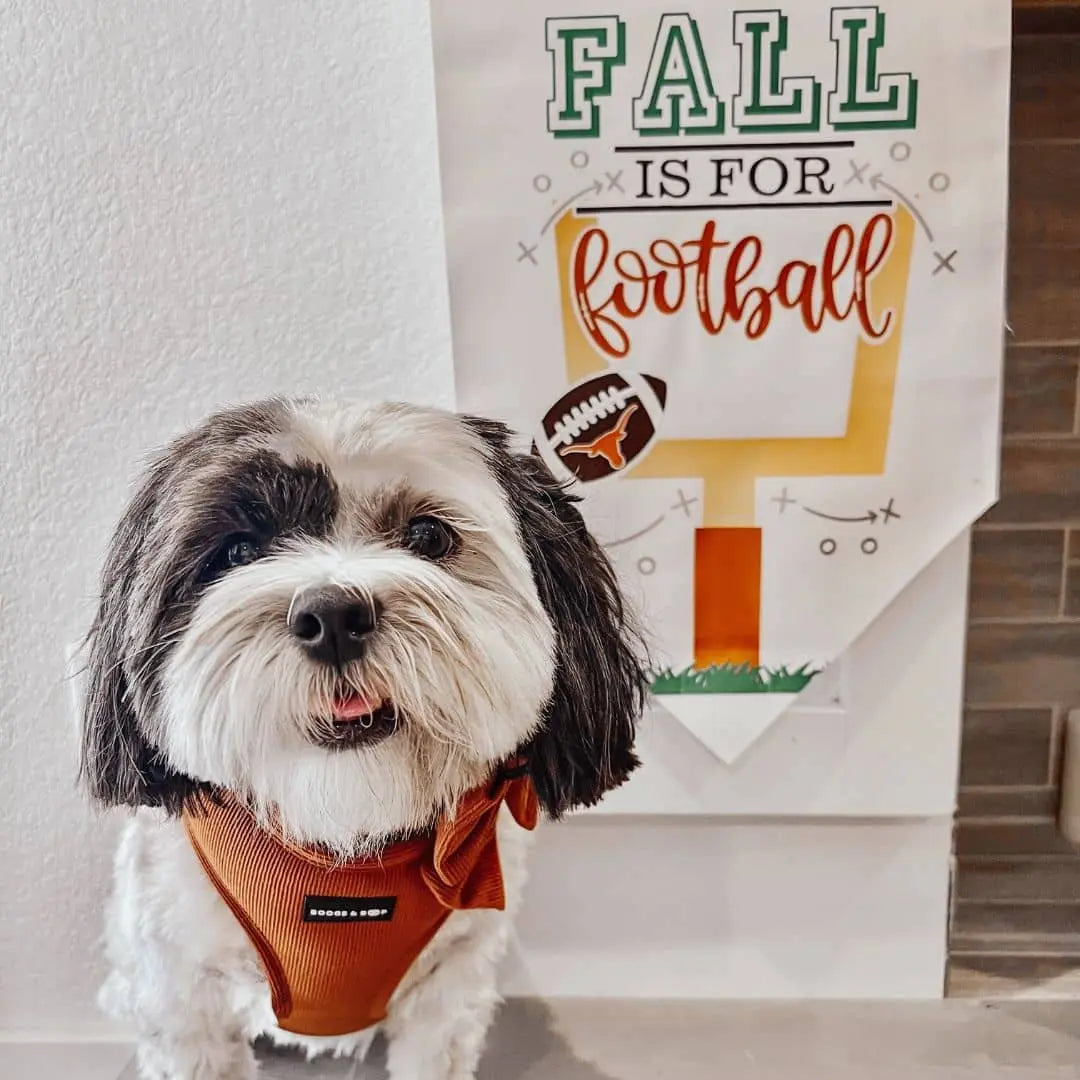Adjustable Corduroy Dog Harness - Rust
