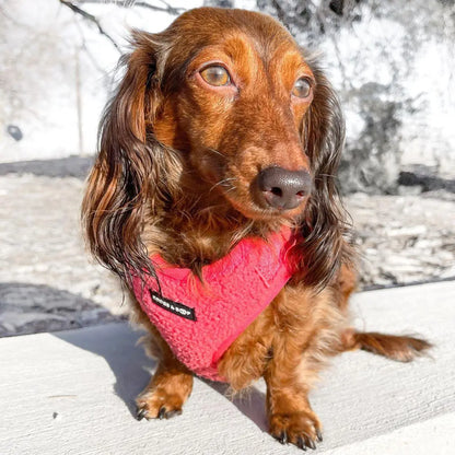 Adjustable Fluorescent Pink Teddy Fabric Dog Harness