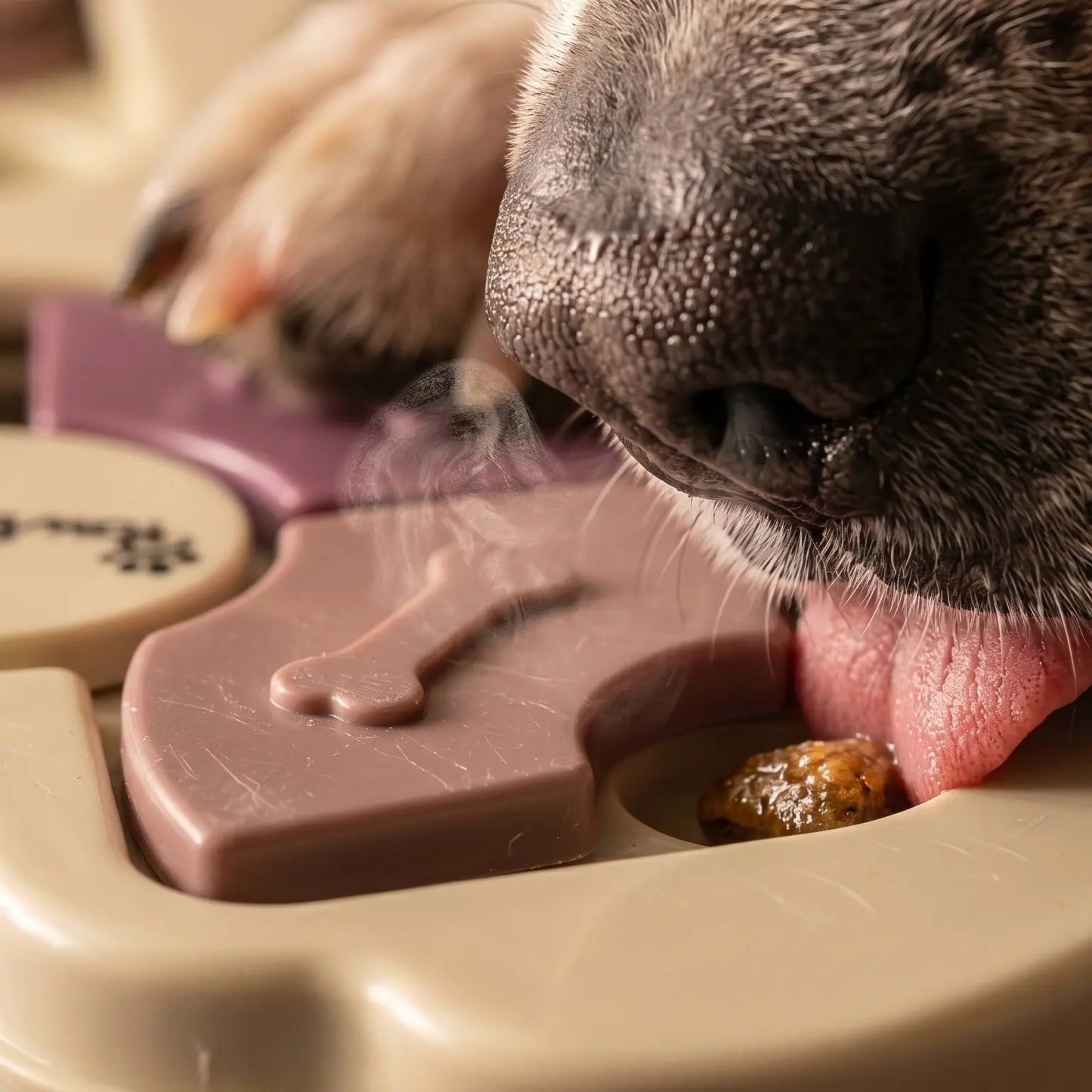 Dog Puzzle Toy and Slow Feeder Bowl - Level 1 Interactive Treat Dispenser for Puppies - Enhances Mental Stimulation, Prevents Gulping, and Supports Healthy Digestion During Mealtime