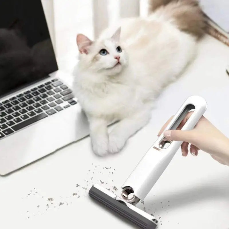 The Little Tabletop Mop